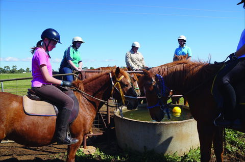 Western Plains Riding Centre - Open - New Castle Tourism 0