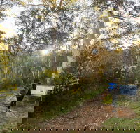 Yarrangobilly Caves  River walk - Newcastle Accommodation