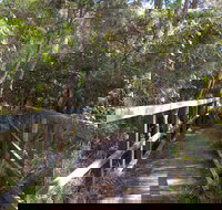 Awaba Bay Foreshore Walk - Newcastle Accommodation