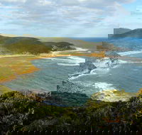 Bullimah Spur Track - Newcastle Accommodation