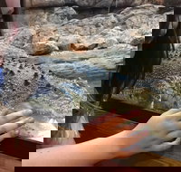 Canberra Reptile Zoo - Newcastle Accommodation