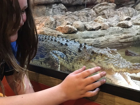 Canberra Reptile Zoo - New Castle Tourism 0