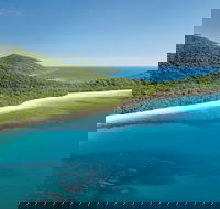 Cape Tribulation Daintree National Park - New Castle Tourism