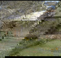 Castlemaine Diggings National Heritage Park - Newcastle Accommodation