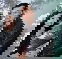 Cleland Wildlife Park - Koala Hold