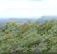 Collombatti Lookout - Newcastle Accommodation