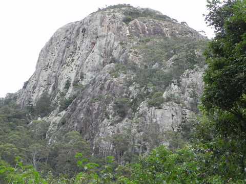 Coongarra Rock - New Castle Tourism 0