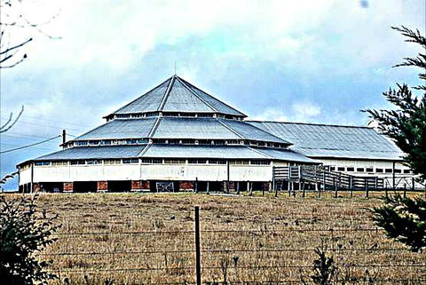 Deeargee Woolshed - New Castle Tourism 0