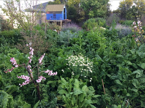 Down To Earth Permaculture - New Castle Tourism 0