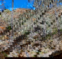 Eualdrie Walking Track - New Castle Tourism