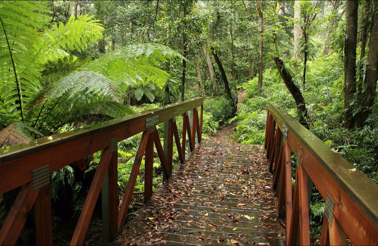 South Wolumla NSW New Castle Tourism