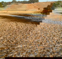 Gunning Golf Club - New Castle Tourism