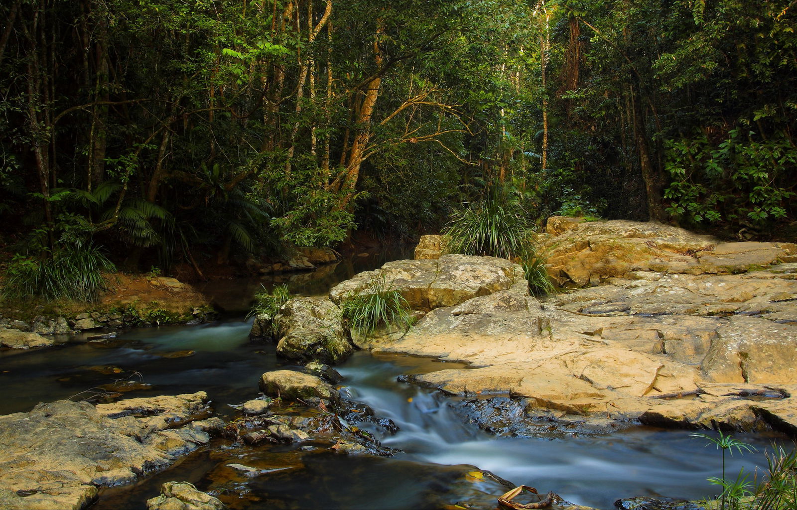 Tropical North Queensland QLD New Castle Tourism