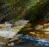 Jumrum Creek Walk Jumrum Creek Conservation Park - New Castle Tourism