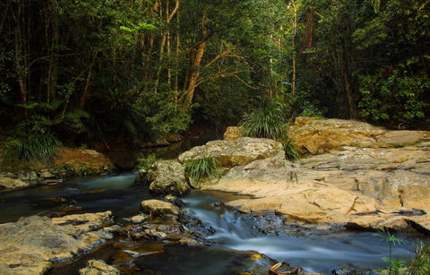 Jumrum Creek Walk, Jumrum Creek Conservation Park - New Castle Tourism 0