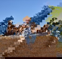 Katherine Outback Experience