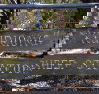 Kuriong Sheep Station - New Castle Tourism