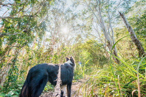 Lamb Island (Nguderoo) - Newcastle Accommodation 1