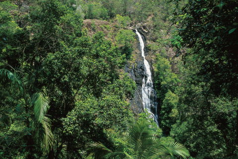 Mapleton Falls National Park - New Castle Tourism 0