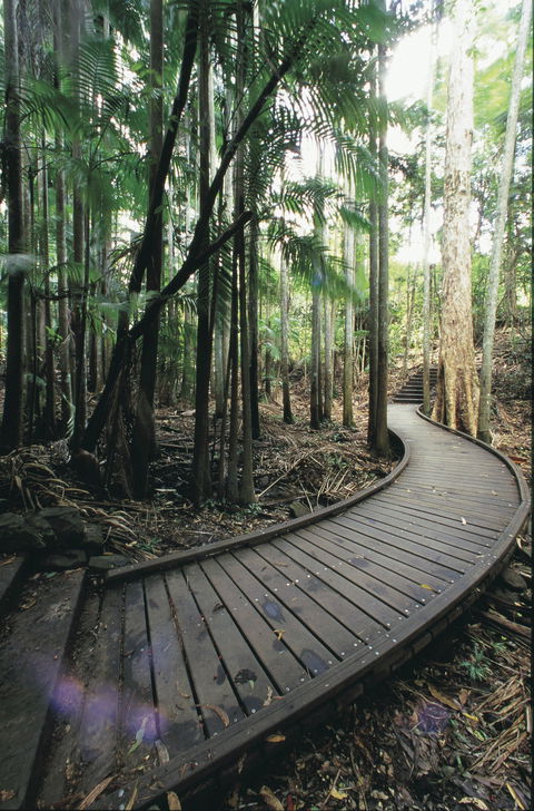 Mapleton Falls National Park - New Castle Tourism 1