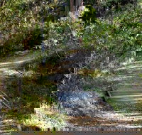 McDirtys Walking Track - Newcastle Accommodation