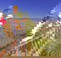 Moogerah Peaks National Park - Newcastle Accommodation