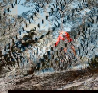 Mountain Bike Trails Deniliquin - New Castle Tourism