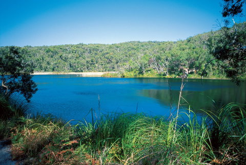 Naree Budjong Djara National Park - Newcastle Accommodation 1