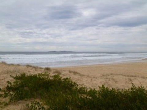 Narooma Surf Beach - New Castle Tourism 0