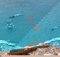 Nullarbor National Park