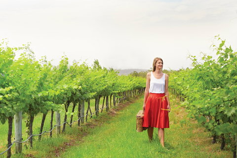 Swan Valley - New Castle Tourism 0