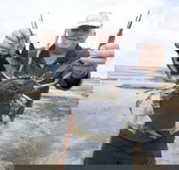 Tiddy Widdy Beach - Newcastle Accommodation