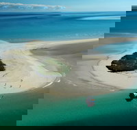 Turtle Discovery - Newcastle Accommodation