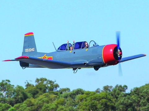 Warrior Warbirds - Open - New Castle Tourism 1