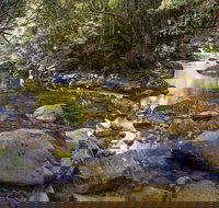 Washpool Walking Track