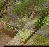 Waterfall Gully - Kings Falls Circuit Walk - New Castle Tourism