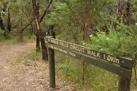 Waterfall Gully - Kings Falls Circuit Walk - New Castle Tourism 0