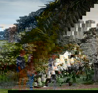 Aboriginal Heritage Walk