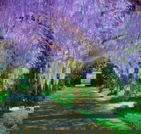 Alowyn Gardens and Nursery - Newcastle Accommodation