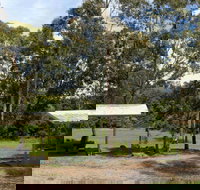 Back Creek picnic area - Newcastle Accommodation