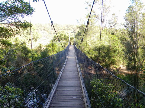 Bens Walk - New Castle Tourism 1