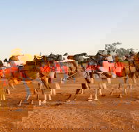 Broken Hill Camels - New Castle Tourism