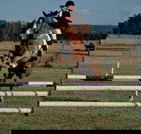 Camden Bicentennial Equestrian Park - Newcastle Accommodation