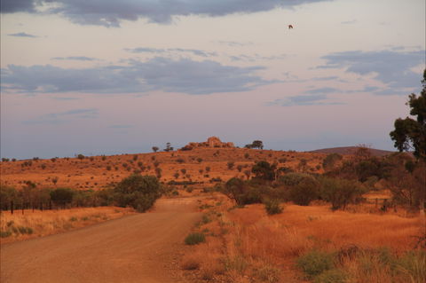 Castle Rock Walk And Lookout - New Castle Tourism 0