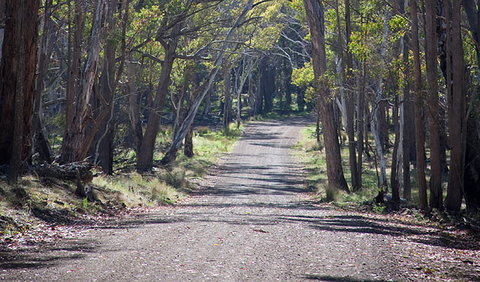 Coolah Tops National Park - Newcastle Accommodation 0