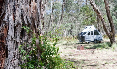 Coolah Tops National Park - Newcastle Accommodation 2