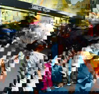 Crystal Kingdom - Newcastle Accommodation