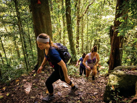 Devils Thumb (Manjal Jimalji) Trail - Newcastle Accommodation 0