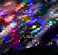 Didgeridoo Festivals