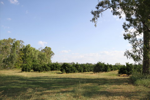 Dululu - Newcastle Accommodation 1